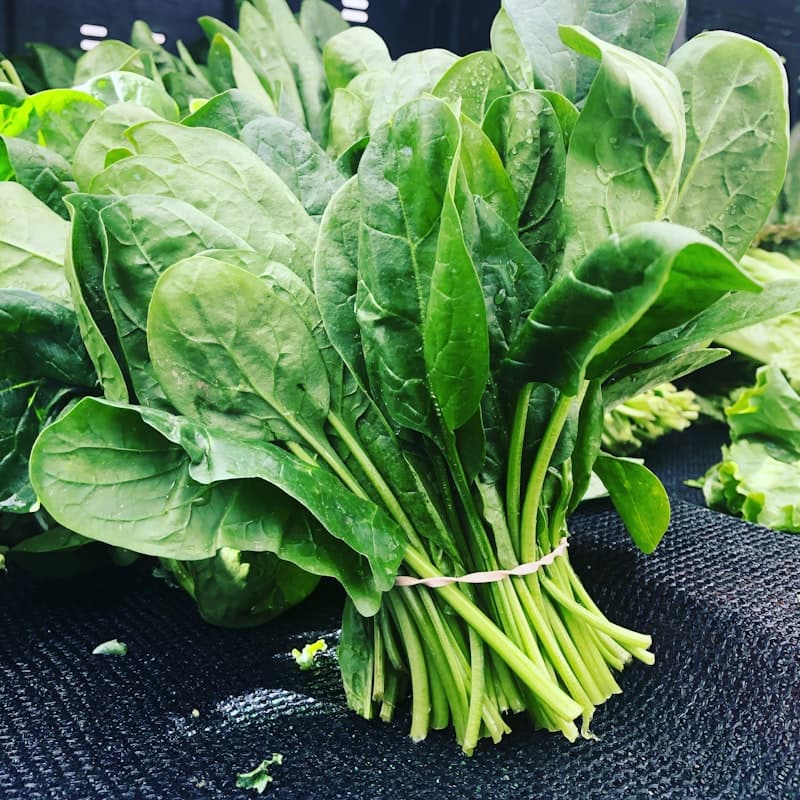 Spinach, bunch